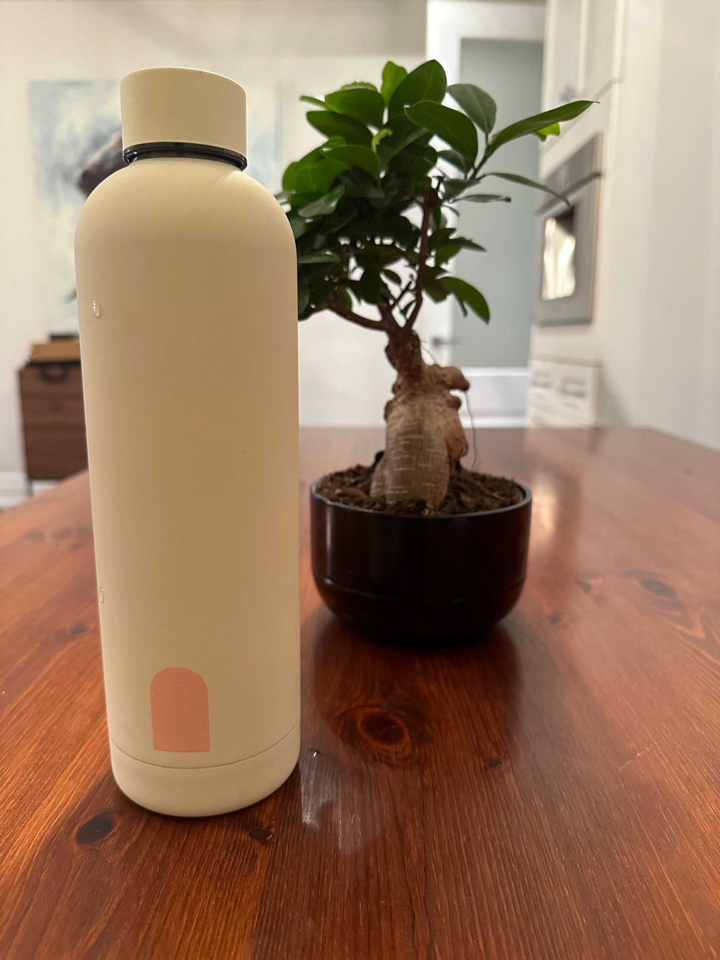 Water Bottle (cold and hot beverages)